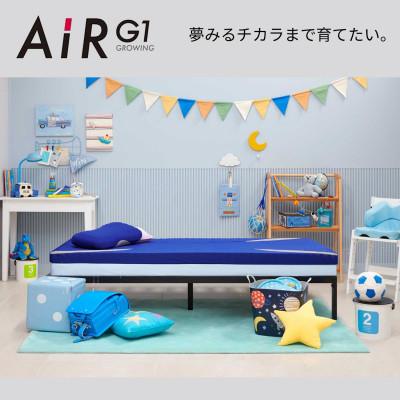 ふるさと納税 近江八幡市 【nishikawa/西川】AiR[エアーG1]マットレス　ブルー |  | 02