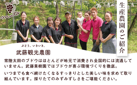 ぶどうジュース (巨峰) 1本＆旬ジャムセット | ぶどうジュース ジャム
