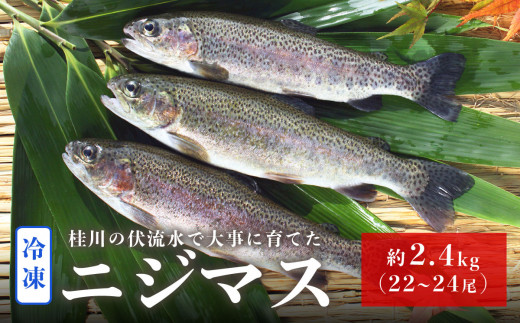 
山梨県産　桂川の冷凍ニジマス　計:約2.4kg(約22～24尾)【012-004】
