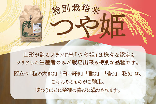 【新米受付】令和8年産 特別栽培米 つや姫 10kg 石垣農園 5kg×2袋 2026年産 ブランド米 米 国産 単一原料米 山形 庄内平野 コシヒカリの原点、亀の尾発祥の地 庄内【R8.10月以降発