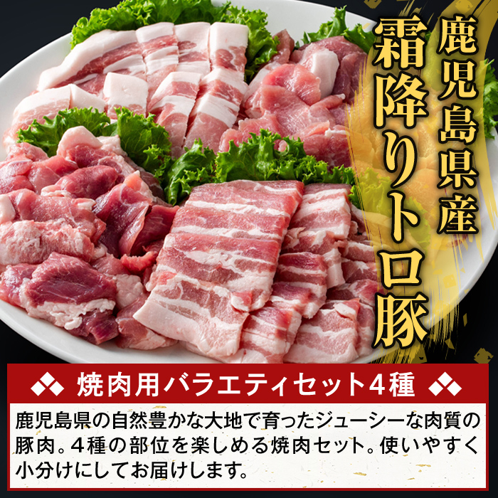K-379-F ＜12回定期便＞鹿児島県産霜降りトロ豚 焼肉用バラエティセット(合計12kg)【ふるさと産直バザール】霧島市 ロース バラ ウデ モモ 焼き肉 ヤキニク 豚肉 国産 鹿児島県産 肉 精