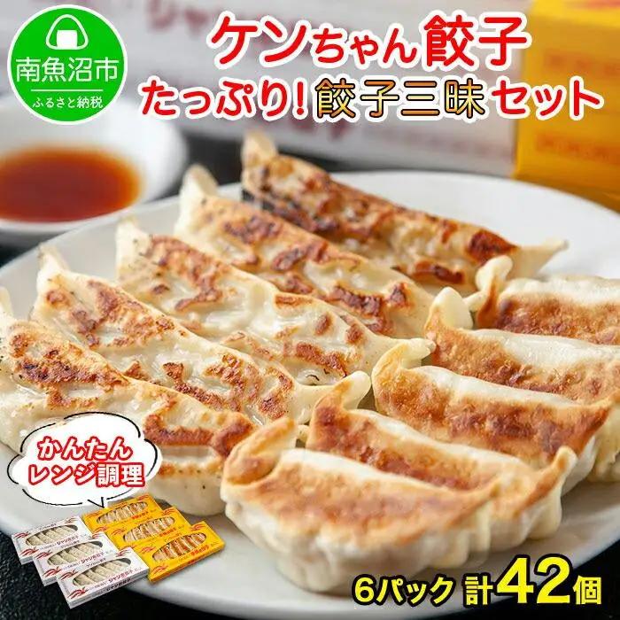 新潟県 南魚沼市 チルド手焼き餃子・ジャンボ餃子 食べ比べ セット 各3パック 計42個 ケンちゃん餃子 冷蔵 中華 点心 惣菜 ビール お取り寄せ グルメ｜レンジ調理