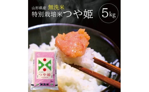 令和7年産【無洗米】特別栽培米 つや姫　5kg×1袋 TO SB0776