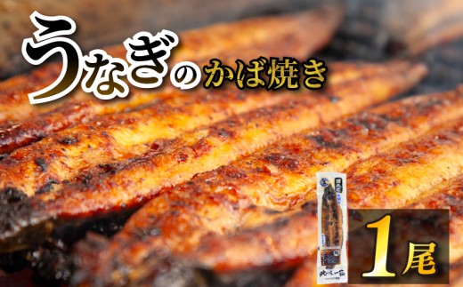 【江口商店うなぎのかば焼き】 1尾 こだわり親父の備長炭手焼き 江口商店 ｜ うなぎ 鰻 国産 長蒲焼 1尾 国産 うなぎ 鰻 ウナギ 蒲焼き 蒲焼 かばやき 魚 魚介 魚貝 海鮮 うな重 ひつまぶし 蒲焼 ギフト 人気 おすすめ福岡県 柳川市