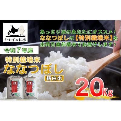 ふるさと納税 鷹栖町 【令和7年産】たかすのお米 「特別栽培米 ななつぼし」20kg(精白米) SA945
