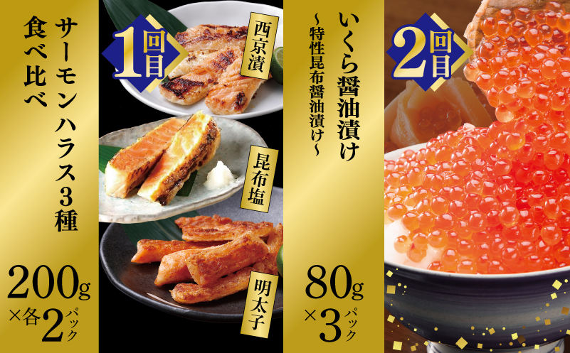 【北国からの贈り物】厳選お楽しみ海鮮定期便 全6回 【毎月配送コース】 099Z419