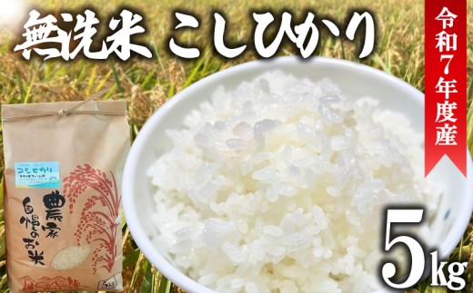 ＼最短7営業日以内発送／ 無洗米 5kg 令和7年産 無洗米 米 こめ こしひかり コシヒカリ コメ 精米 白米 むせんまい お米 ご飯 ごはん お弁当 おにぎり ライス 国産 千葉県産 千葉県 旭市 オオナギファーム onf006