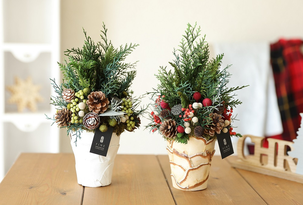 
            アルベロ【クリスマス限定！申込は12月1日まで】
          