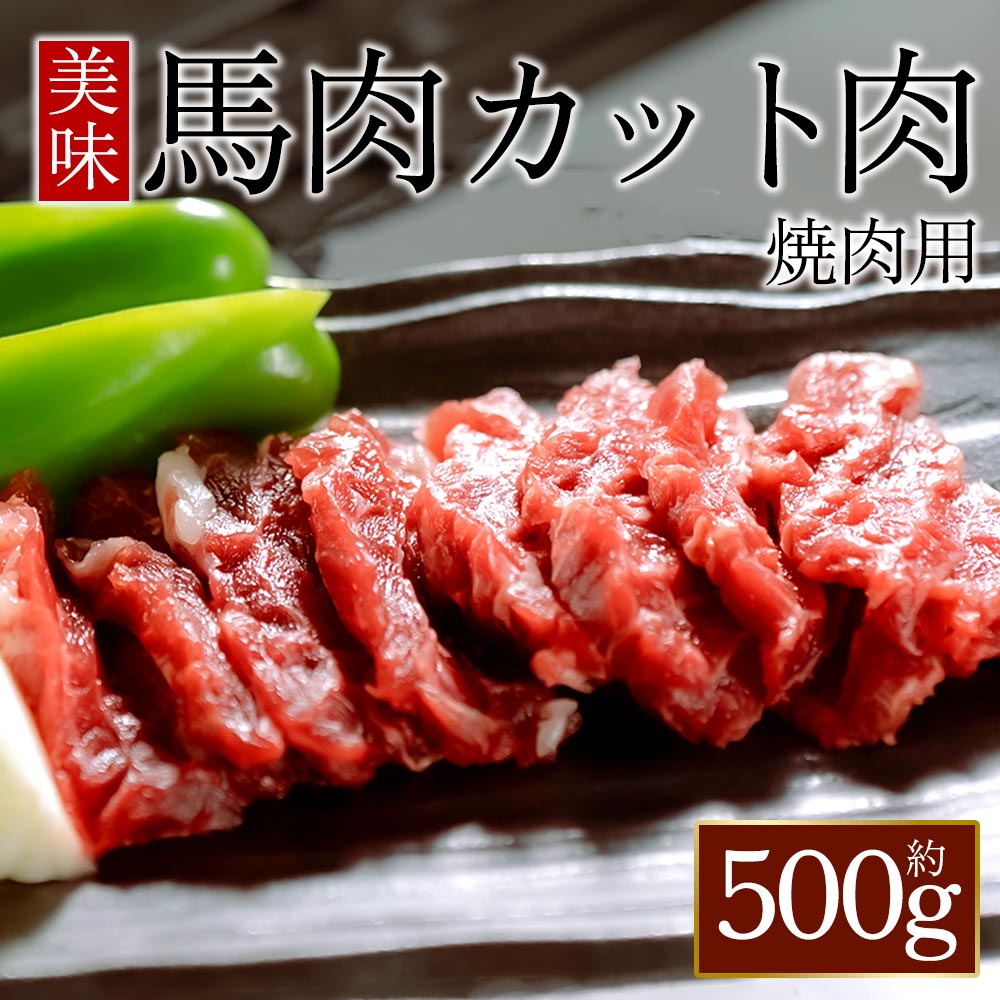 【ふるさと納税】馬肉焼肉用500g カット済 馬肉 特産品 馬肉 肉 冷凍 お取り寄せ ふるさと納税 加熱調理用 焼くだけ ヘルシー 高タンパク おうちごはん バーベキュー BBQ 焼肉 焼肉用 ギフト 贈答用 おすすめ 桜屋 熊本県 阿蘇市