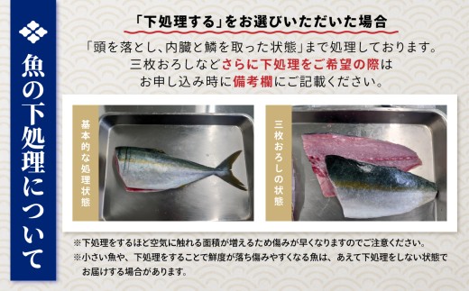 【隔月6回定期便 / 下処理する】 鮮魚セット 厳選 三陸海の恵み詰め合わせ(1回あたりのお届け目安：4～5人用) 【 無添加 鮮魚 三陸産 国産 天然 海鮮 お刺身 魚介 魚介類 詰め合わせ セット お手軽 】岩手 陸前高田市 産地直送 RT2588