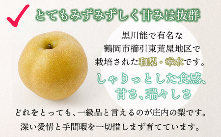 【令和8年産先行予約】 東荒屋産　幸水　(和梨) 　5kg　山形県鶴岡市　鶴岡中央青果　| 梨 ナシ 果物 くだもの フルーツ 旬 期間限定 5キロ 甘い みずみずしい おすすめ 人気 お取り寄せ 返