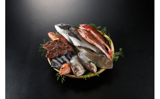 ＜火～木着※指定日不可＞＜期間限定＞＜4月上旬～10月末頃発送予定＞朝獲れ鮮魚ボックス「美保湾の恵み」(計2.5kg以上)