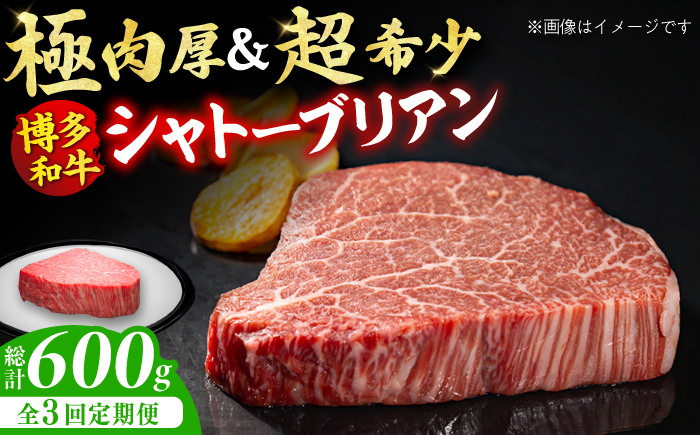 
【全3回定期便】博多和牛 ヒレ シャトーブリアン 200g×1枚 牛肉 ステーキ お歳暮 お中元 贈答用 シャトーブリアン 赤身 父の日 母の日 敬老の日 希少 レア 広川町 / 久田精肉店株式会社 [AFBV025]
