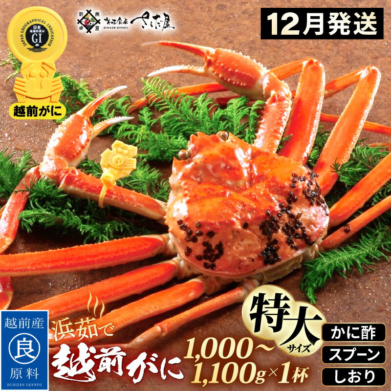 【ふるさと納税】浜茹で 越前がに 特大サイズ（生で1000〜1100g） × 1杯 かに酢 食べ方しおり スプーン付き 【12月発送分】【かに カニ 蟹 ズワイガニ ずわいがに 姿 ボイル 福井県 冷蔵】希望日指定可 備考欄に希望日をご記入ください [e04-x031_12]