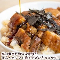 刻みうなぎの蒲焼き きざみ 小分け パック 約50g × 4パック うなぎうなぎうなぎうなぎうなぎ TY0231_x