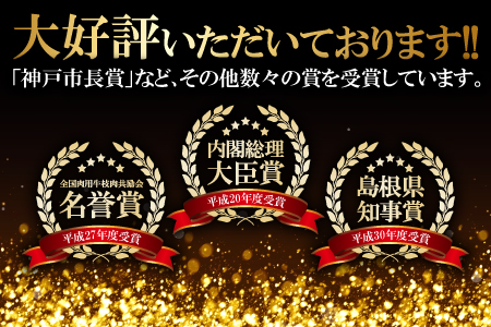 D-295 松永和牛A5ランク　最高級ヒレステーキ2枚
