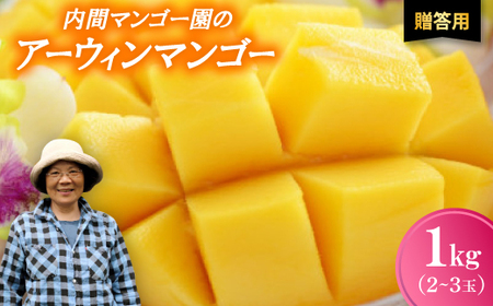 【2026年7月から順次発送・贈答用】内間マンゴー園のアーウィンマンゴー1kg(2～3玉)【配送不可地域：離島】【1695325】