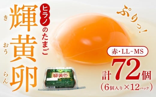 
            ヒラノのたまご 輝黄卵（きおうらん）72個（6個入り×12パック）【卵 たまご タマゴ  国産 新鮮 直送 朝ごはん 卵かけごはん AJ006】
          