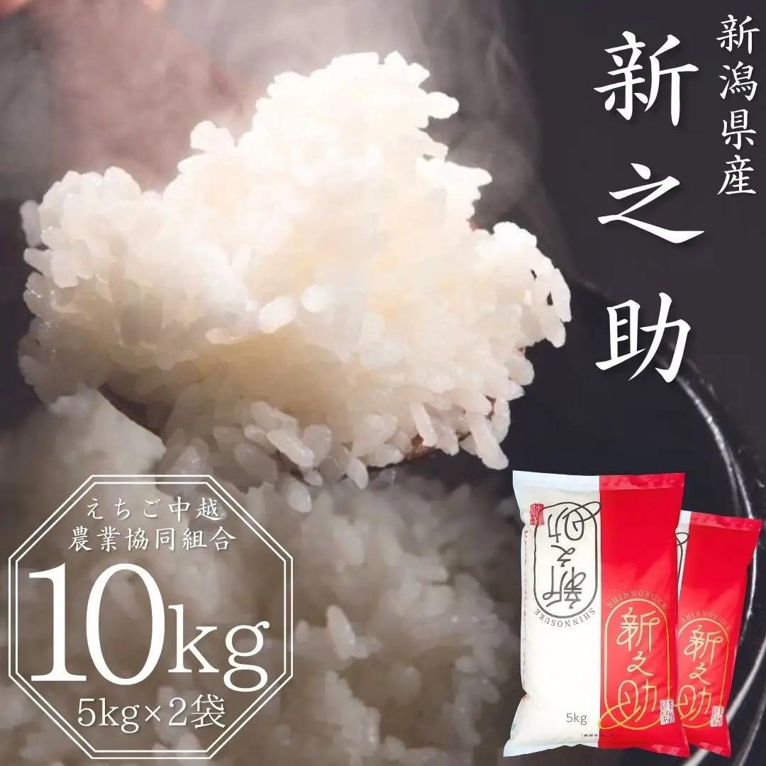 先行予約 令和8年 新潟県産 新之助 10kg (5kg×2袋) しんのすけ [JAえちご中越]