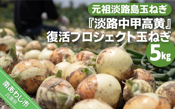 
                  元祖淡路島玉ねぎ『淡路中甲高黄』復活プロジェクト　玉ねぎ5kg
                