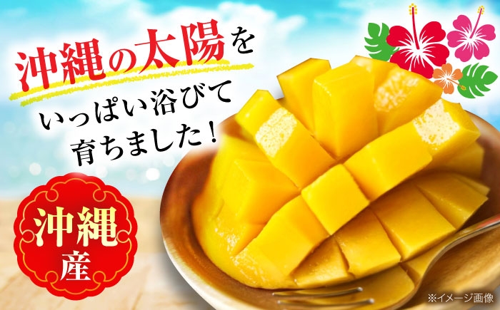 キーツマンゴー マンゴー まんごー 芒果 Mango mango 果物 フルーツ 果実 完熟 国産 特産品 季節限定 数量限定
