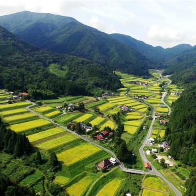 ふるさと納税 松江市 【毎月定期便】仁多米「大峠源流米」5kg(5kg×1)(松江市)全3回 |  | 02