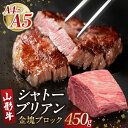 【ふるさと納税】山形牛シャトーブリアン 金塊ブロック 450g【肉の小林】 シャトーブリアン お肉 ブロック肉 山形 大江町 肉 A4 A5