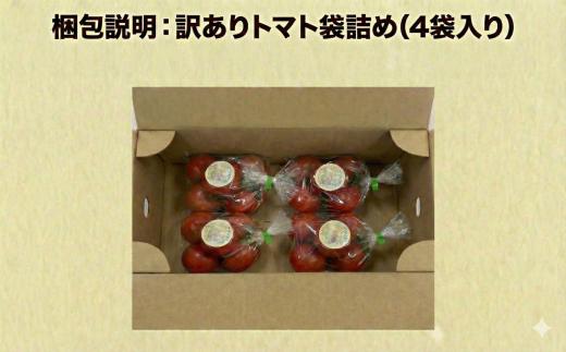 ハウス桃太郎トマト4kg トマト 野菜 やさい 果物 とまと  tomato 甘い リコピン トマト フルーツ 先行予約 10000円 2026年 産地直送 数量限定 農家直送 鮮度 新鮮 土耕栽培 