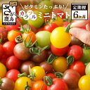 【ふるさと納税】 【先行予約】 【6回定期便】カラフル ミニトマト Ricotomato 1kg 合計6kg 月1回 年6回発送 野菜 とまと トマト 佐賀産 佐賀県 鹿島市 送料無料 【2024年12月から出荷】 H-11