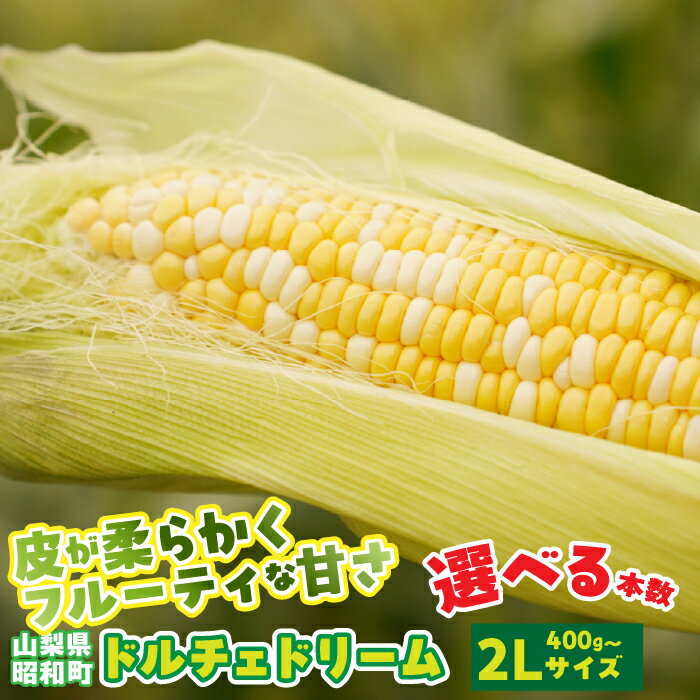 【ふるさと納税】【2026年発送先行予約】山梨県産ドルチェドリーム2Lサイズ 6本 10本 20本 セット とうもろこし もろこし トウモロコシ モロコシ コーン 国産 国産野菜 新鮮 産地直送 バーベキュー BBQ キャンプ アウトドア お取り寄せ SWBS004