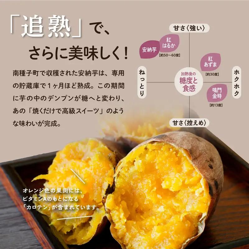 【先行予約】 種子島 安納いも 5kg 人気 種子島産 返礼品 南種子町 鹿児島 かごしま 【10月発送予定】【のっちーよ種子島】