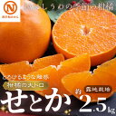 【ふるさと納税】JAにしうわの季節の柑橘(せとか　約2.5kg　化粧箱　露地栽培)【E08-64】【1474321】