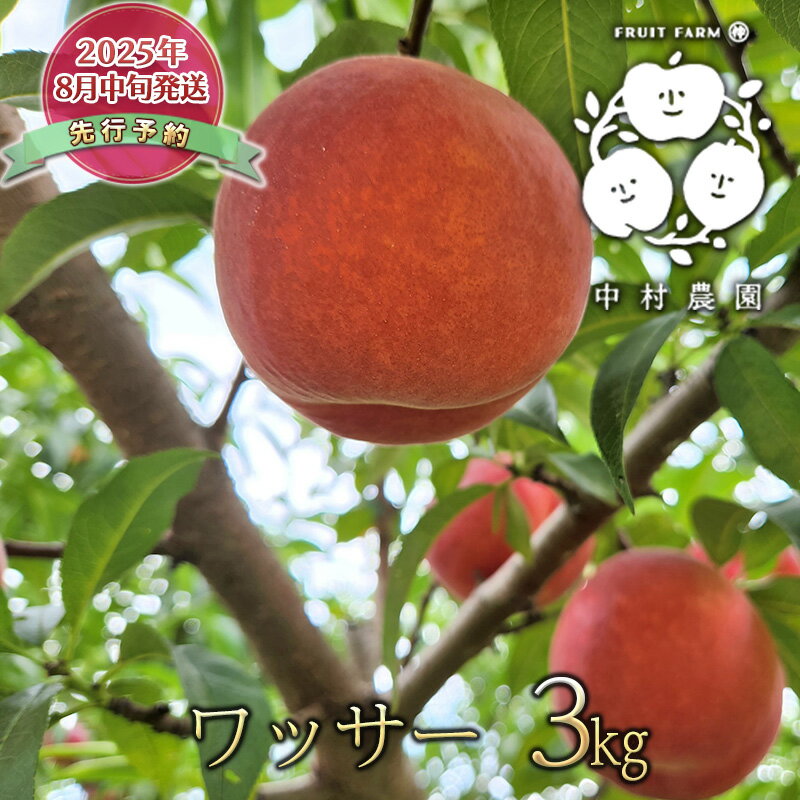 【ふるさと納税】先行予約 ワッサー 3kg 桃 ネクタリン 黄桃 硬い桃 果物 くだもの フルーツ 旬の果物 旬のフルーツ 季節の果物 季節のフルーツ 美味しい果物 長野県産 信州 長野 長野県 長野市　お届け：2025年8月中旬～9月上旬
