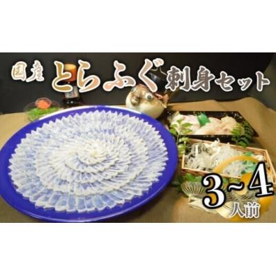 ふるさと納税 宇部市 【訳あり】 数量限定! 厳選 とらふぐ刺身セット 3〜4人前 【冷凍】 | 