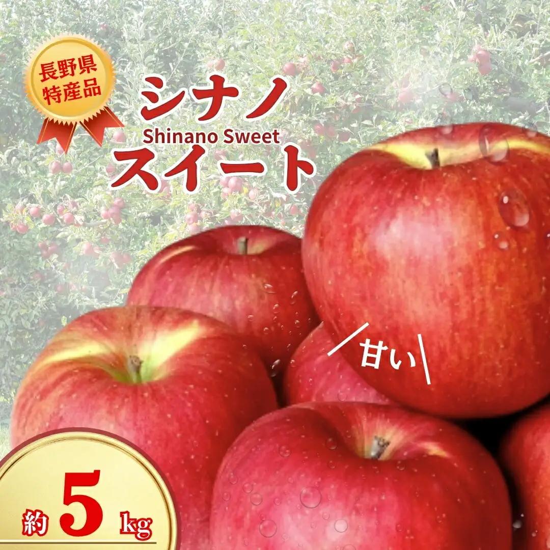【2026年先行予約】シナノスイート 約5kg｜ りんご