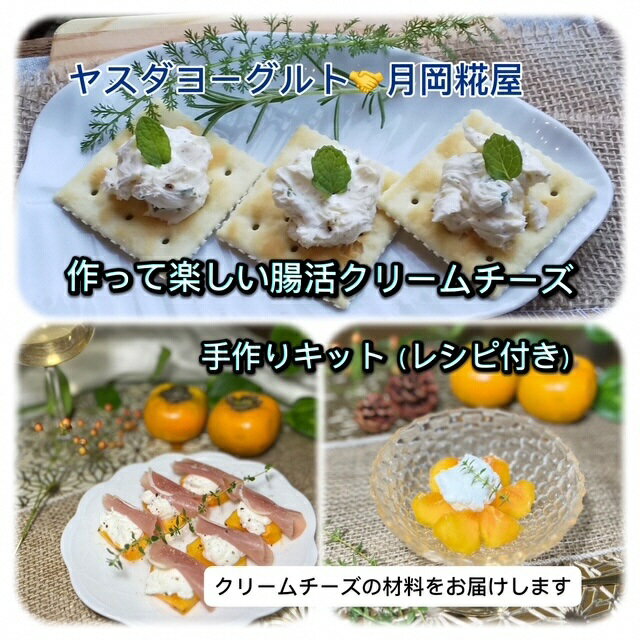 【ふるさと納税】＜冬春限定＞作って楽しい腸活クリームチーズ　手作りキット（レシピ付き） 手作り チーズ 腸活お歳暮 贈り物 ギフト 父の日 母の日 誕生日 クリスマス プレゼント