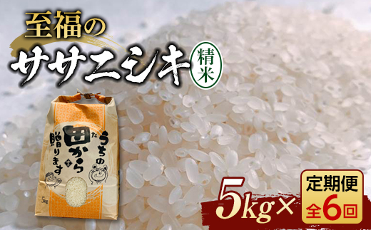 新米令和5年 『定期便』至福のササニシキ（精米）5kg 全6回 米 お米 おこめ ふるさと納税 山形県 新庄市 F3S-1597