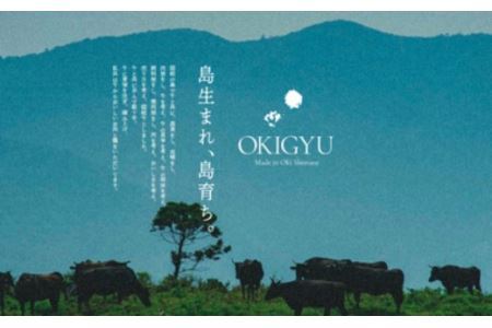 【隠岐牛 上焼肉盛合セット 400g】島生まれ島育ちのブランド黒毛和牛 黒毛和牛