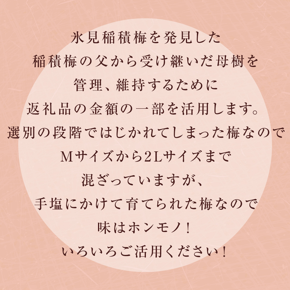 【訳あり】【先行予約】MOTTAINAI 氷見稲積梅 2kg ＜6月下旬発