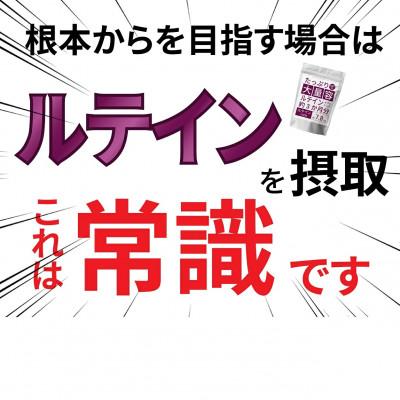 ふるさと納税 富山市 【2個セット】ルテインサプリメント 1袋540粒入り |  | 02
