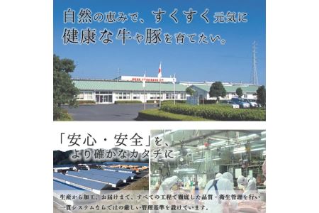 数量限定 鹿児島 黒牛 すきやきセット 計600g 【湧水町JAあいら】 スライス すき焼き用 _y189