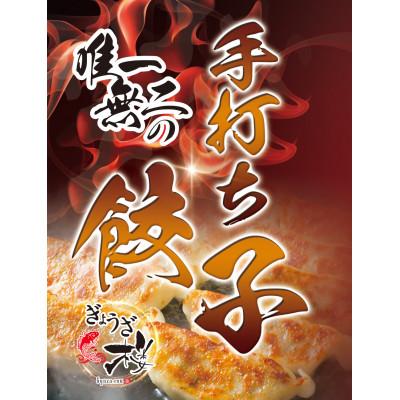 ふるさと納税 井原市 ぎょうざ楼の唯一無二の手打ち餃子40個(20個×2パック)　餃子1つ約30g!
