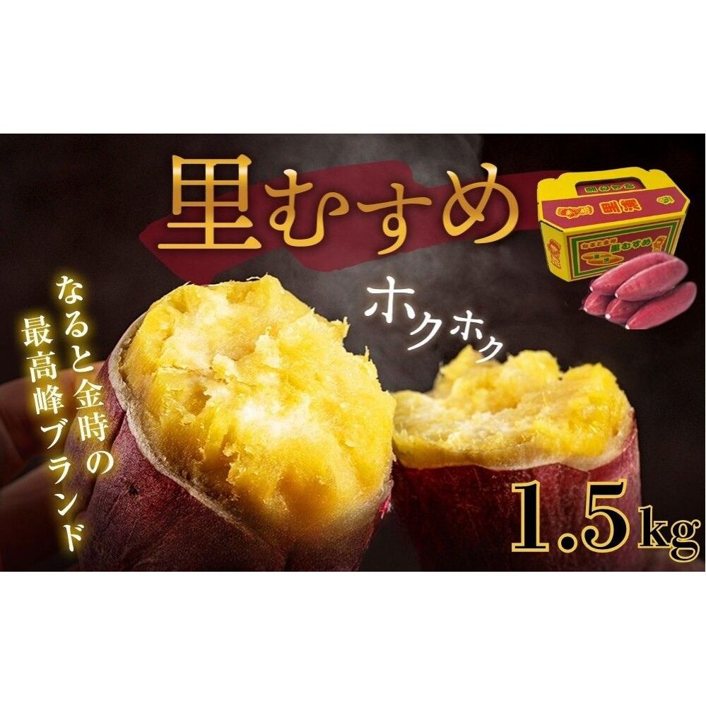 【予約受付中・2026年9月下旬頃より順次発送】なると金時 里むすめ 1.5kg　鳴門金時　さつま芋　サツマイモ　