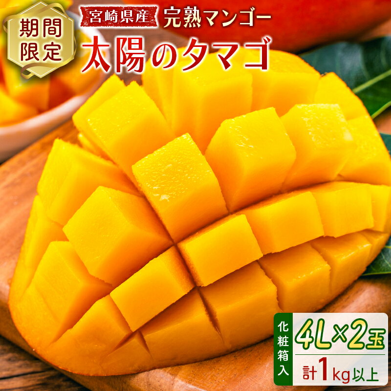 【ふるさと納税】数量限定 宮崎県産 完熟マンゴー＜太陽のタマゴ＞4L×2玉 計1kg以上 ※2026年4月下旬配送開始 化粧箱入 フルーツ くだもの