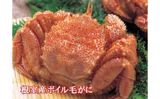 C-01016【12/21まで年内配送】 【北海道根室産】ボイル毛がに3尾