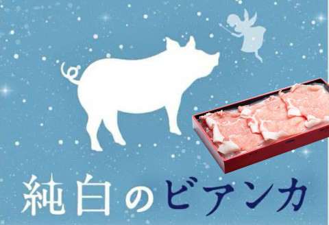 
純白のビアンカ 豚ロースしゃぶしゃぶ用 500g 豚肉 透き通るような 白い脂身 歯切れの良い 肉質 香り高い 上品な甘み 1D01008
