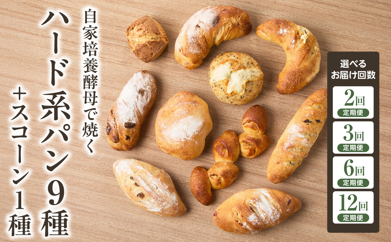 
            【定期便】自家培養酵母で焼くハード系パン9種＋スコーン1種セット！ハード系 パン スコーン 選べる回数（2回・3回・6回・12回）【065-04-parent】
          