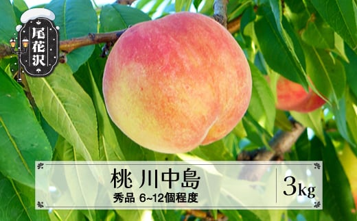先行予約  桃 川中島白桃 秀品 約3㎏ (6～12個程度) 8月中旬~9月中旬頃発送 山形県産 フルーツ 果物 くだもの もも モモ 2025年産 令和7年産 佐竹物産 sb-moknx3