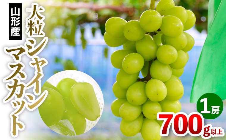 
                  大粒 シャインマスカット 1房(700g以上) FY25-108
                