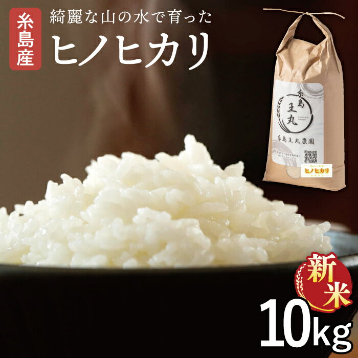 【ふるさと納税】 【令和7年産新米】糸島産 ヒノヒカリ 10kg 【2025年10月中旬以降順次発送】糸島市 / 糸島王丸農園 ( 谷口汰一 )【いとしまごころ】[AAZ014] 27000円 2万円 常温